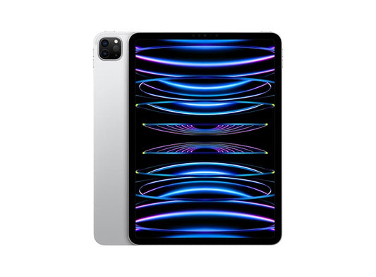 iPad Pro M2 256 GB